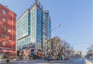 常州好養(yǎng)的綠植價格